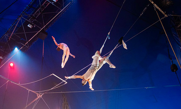 Wintercircus Haarlemmermeer (EXPO Greater Amsterdam)